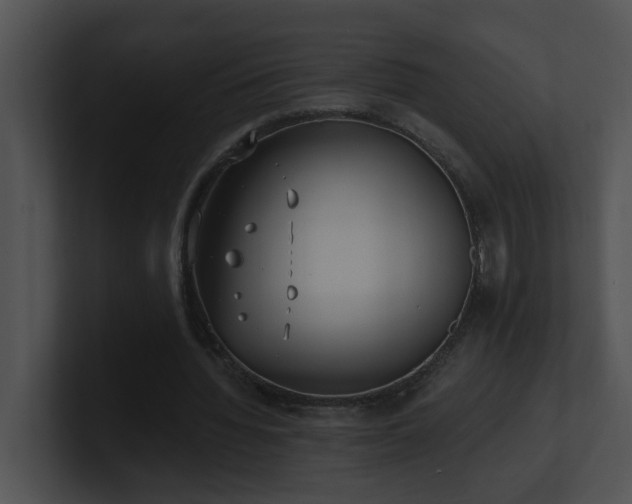 X0000100910436200806241316
