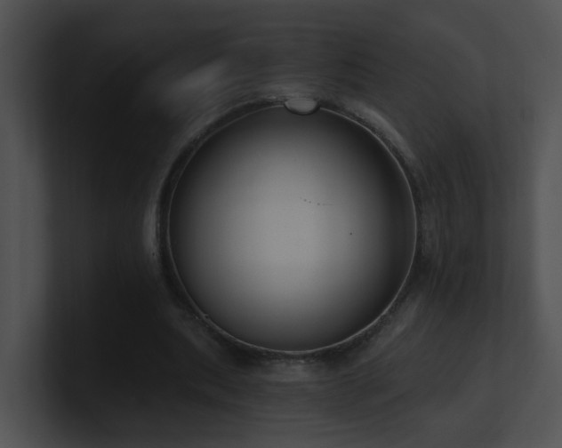 X0000100910439200806241316