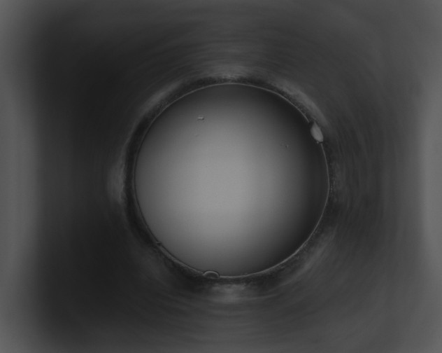 X0000100910440200806241316