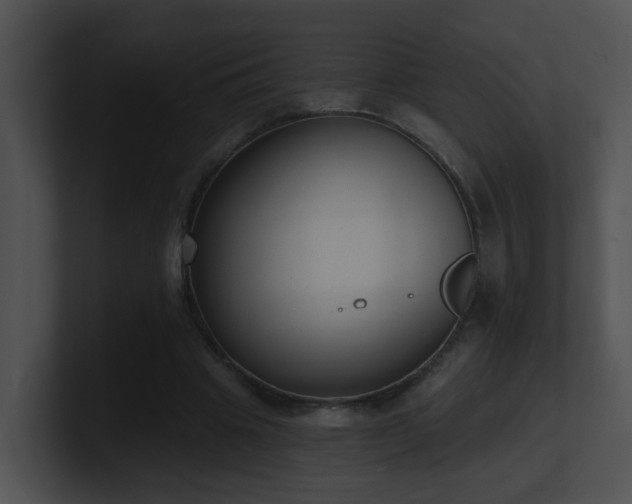X0000100910441200806241316
