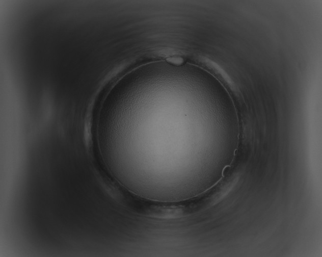 X0000100910443200806241316