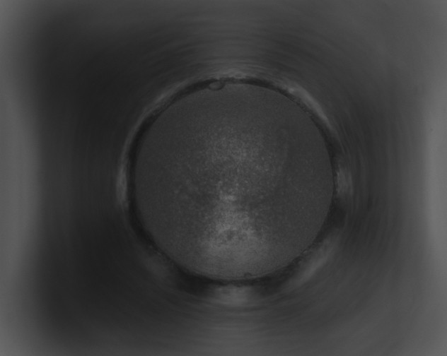 X0000100910444200806241316