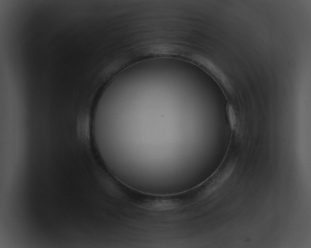 X0000100910445200806241317