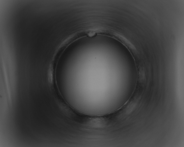 X0000100910446200806241317