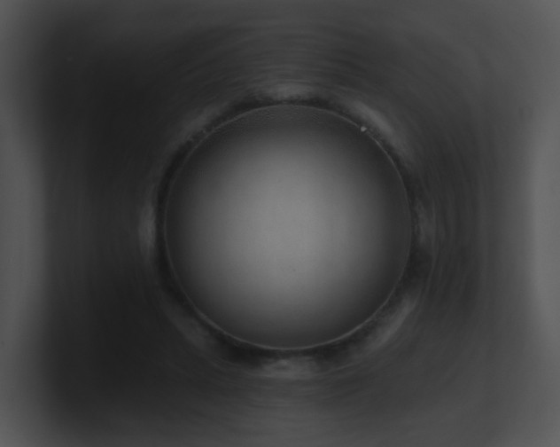 X0000100910447200806241317