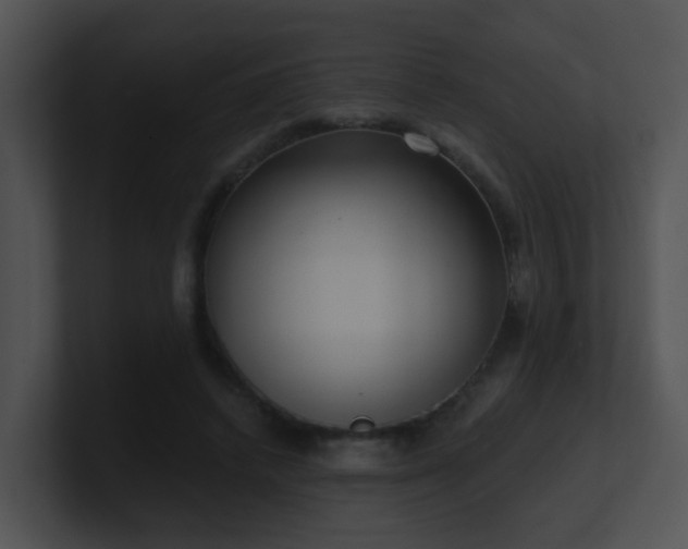 X0000100910448200806241317