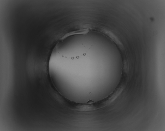 X0000100910449200806241317