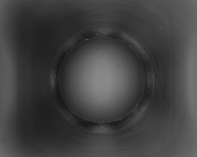 X0000100910451200806241317