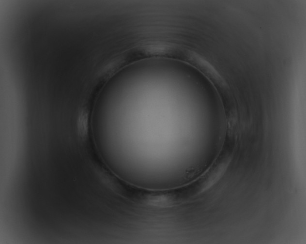 X0000100910454200806241317