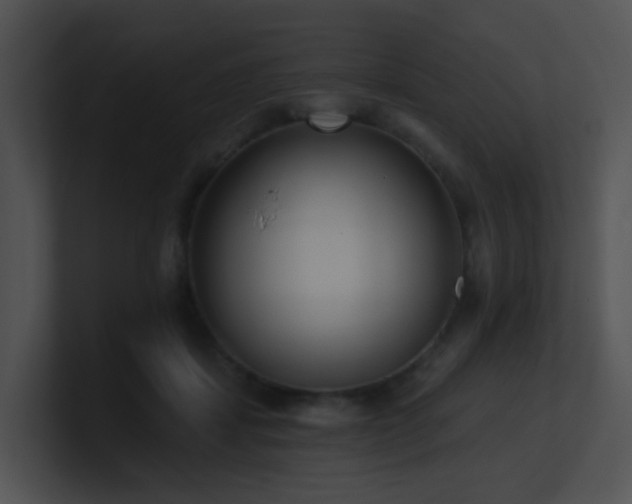 X0000100910459200806241317