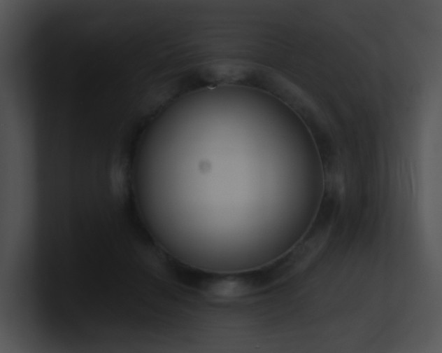X0000100910460200806241317