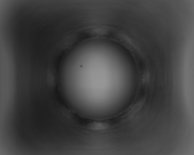 X0000100910464200806241317