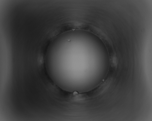 X0000100910472200806241317
