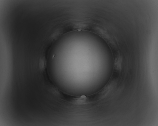 X0000100910474200806241317