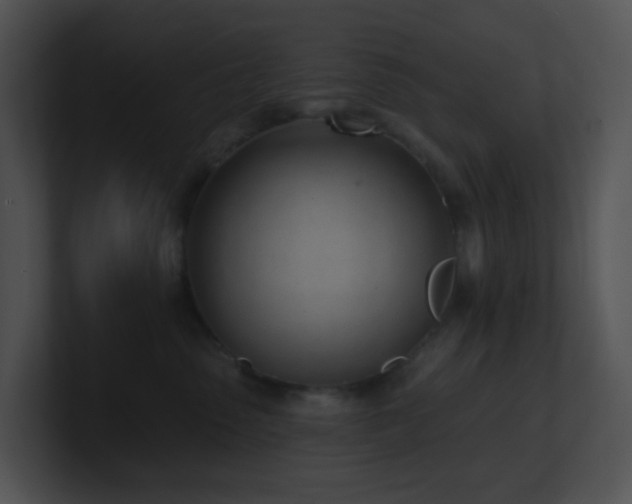 X0000100910475200806241317