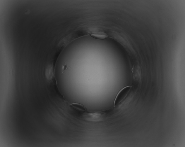 X0000100910478200806241317