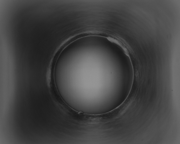 X0000100910484200806241316