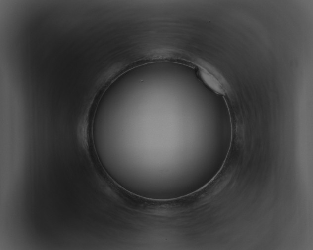 X0000100910485200806241316