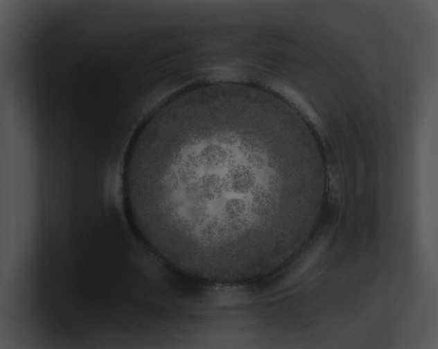 X0000100910487200806241316