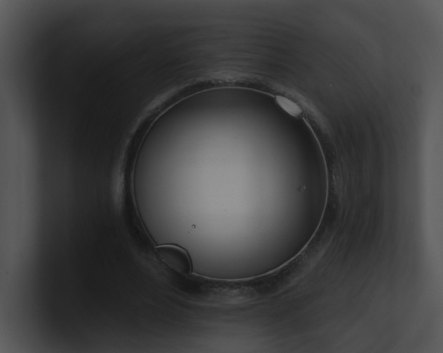 X0000100910488200806241316
