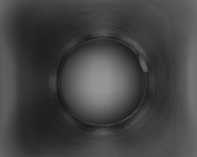 X0000100910489200806241316