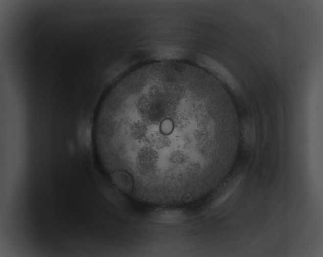 X0000100910491200806241316