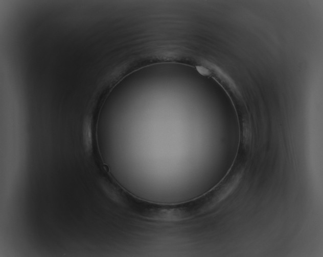 X0000100910493200806241316
