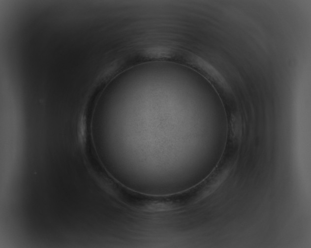 X0000100910494200806241316