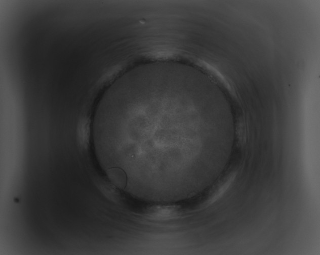 X0000100910495200806241316