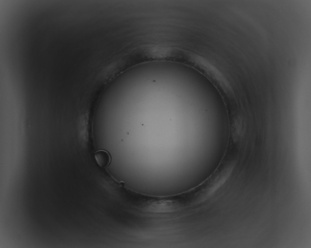 X0000100910497200806241316