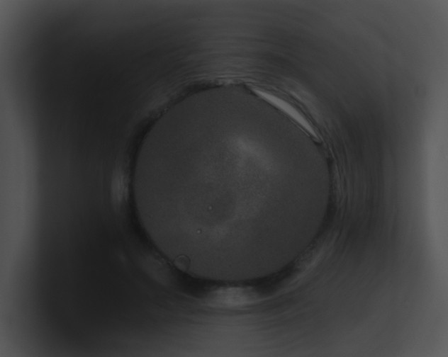 X0000100910499200806241316