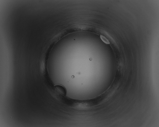 X0000100910500200806241316