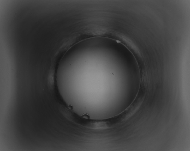 X0000100910501200806241316