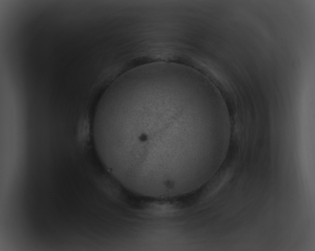 X0000100910502200806241316