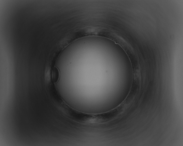 X0000100910504200806241316