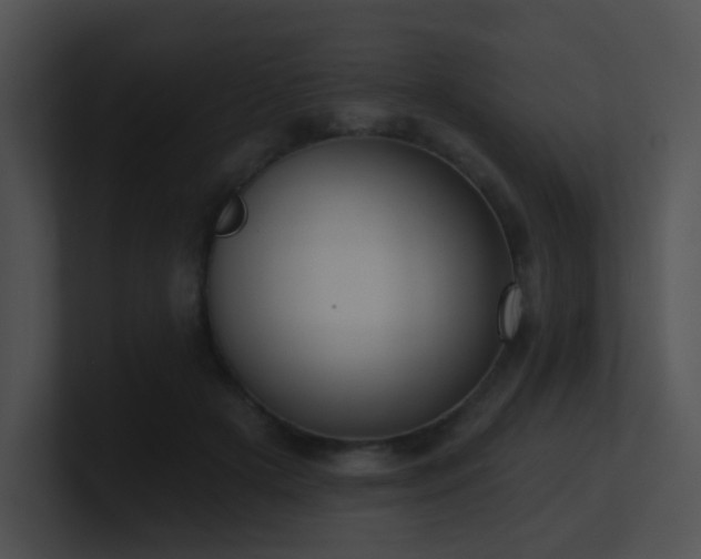 X0000100910505200806241316