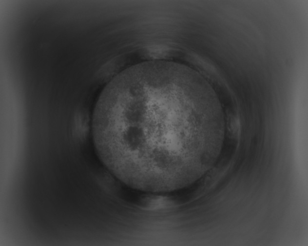X0000100910507200806241316