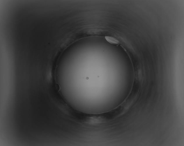 X0000100910508200806241316