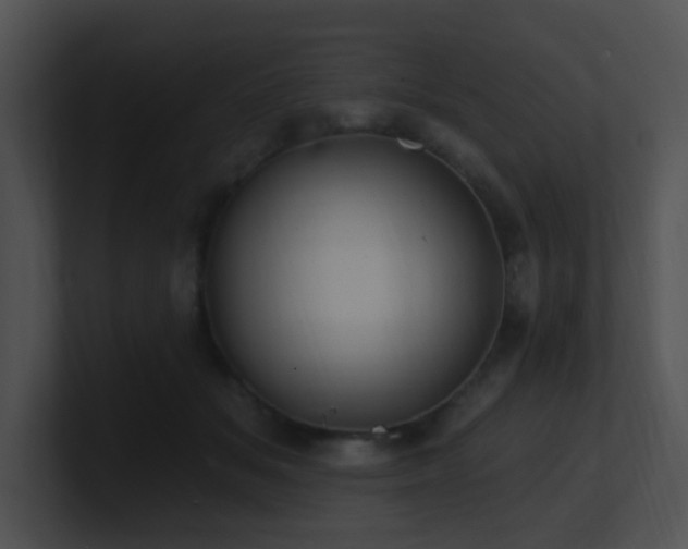 X0000100910509200806241316