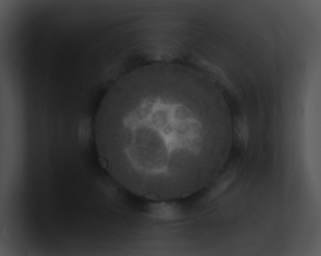 X0000100910511200806241316