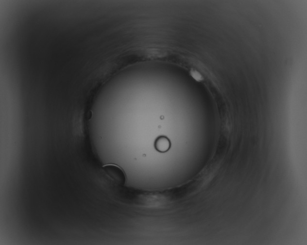 X0000100910512200806241316