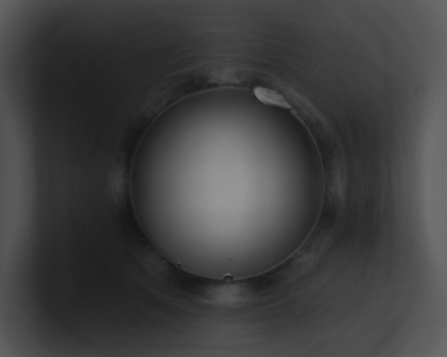 X0000100910513200806241316