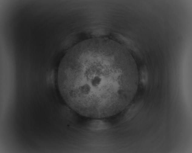 X0000100910519200806241316