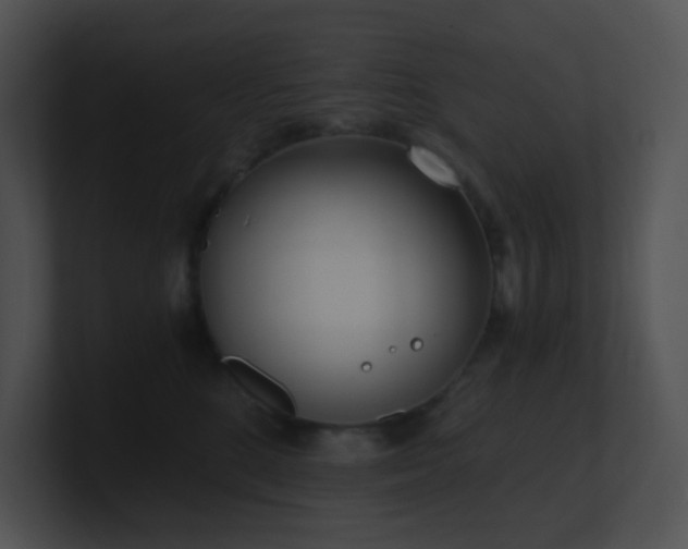 X0000100910520200806241316