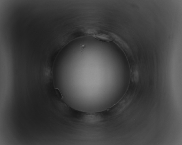 X0000100910521200806241316
