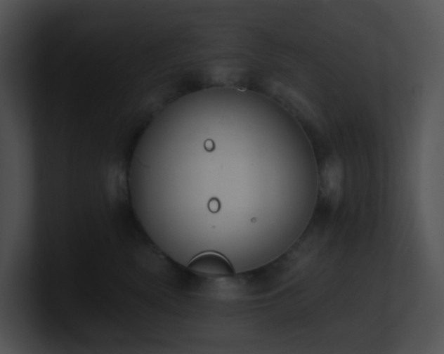 X0000100910522200806241316