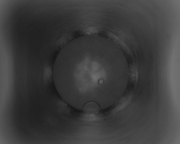 X0000100910523200806241316