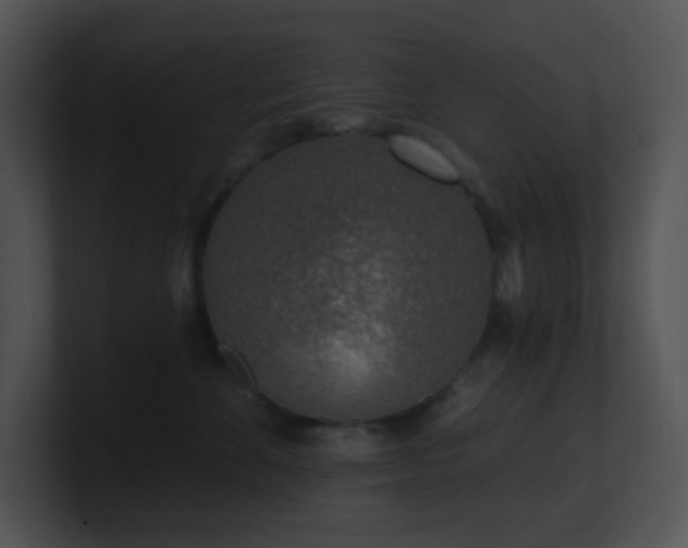 X0000100910524200806241316