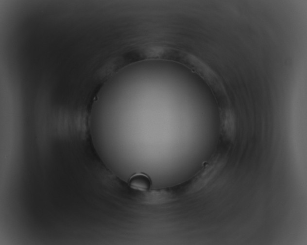 X0000100910525200806241316