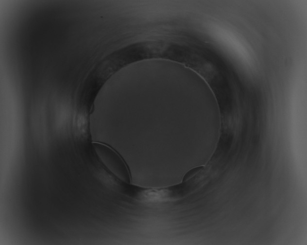X0000100910526200806241316